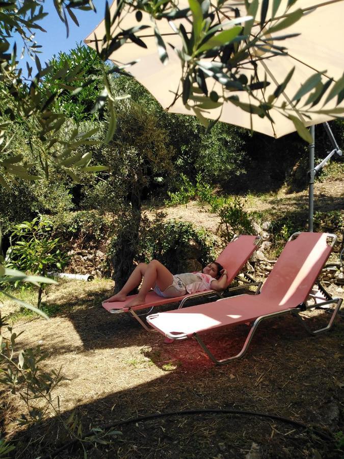 Ελαιώνας - Solar Energy House Villa Chorefton Bagian luar foto